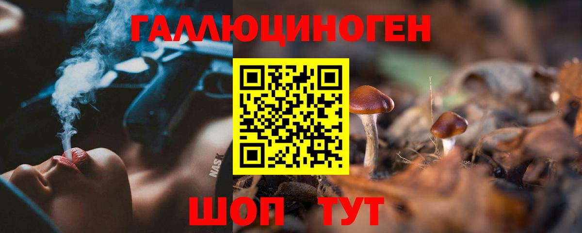 хочу   Галлюциногенные грибы MAGIC MUSHROOMS  Славгород  Вход с VPN  Псилоцибиновые грибы GOLDEN TEACHER 