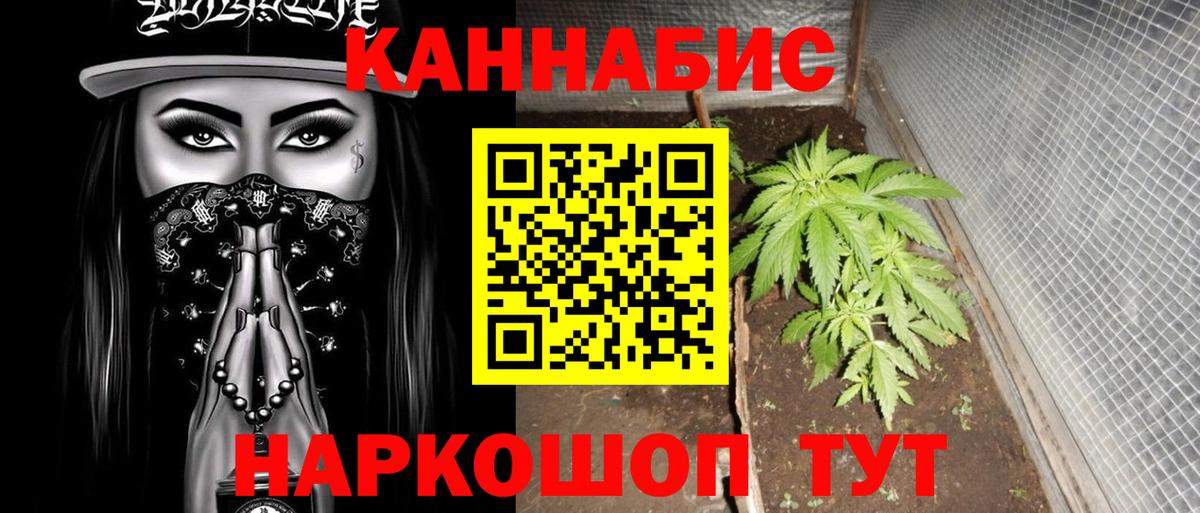 Славгород  Шишки марихуана MAZAR  Бошки Шишки семена  Конопля AK-47  Вход с VPN 